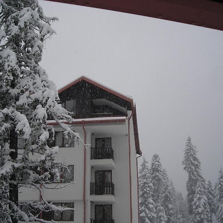Borovets Gardens Chalet Flat Buitenkant foto
