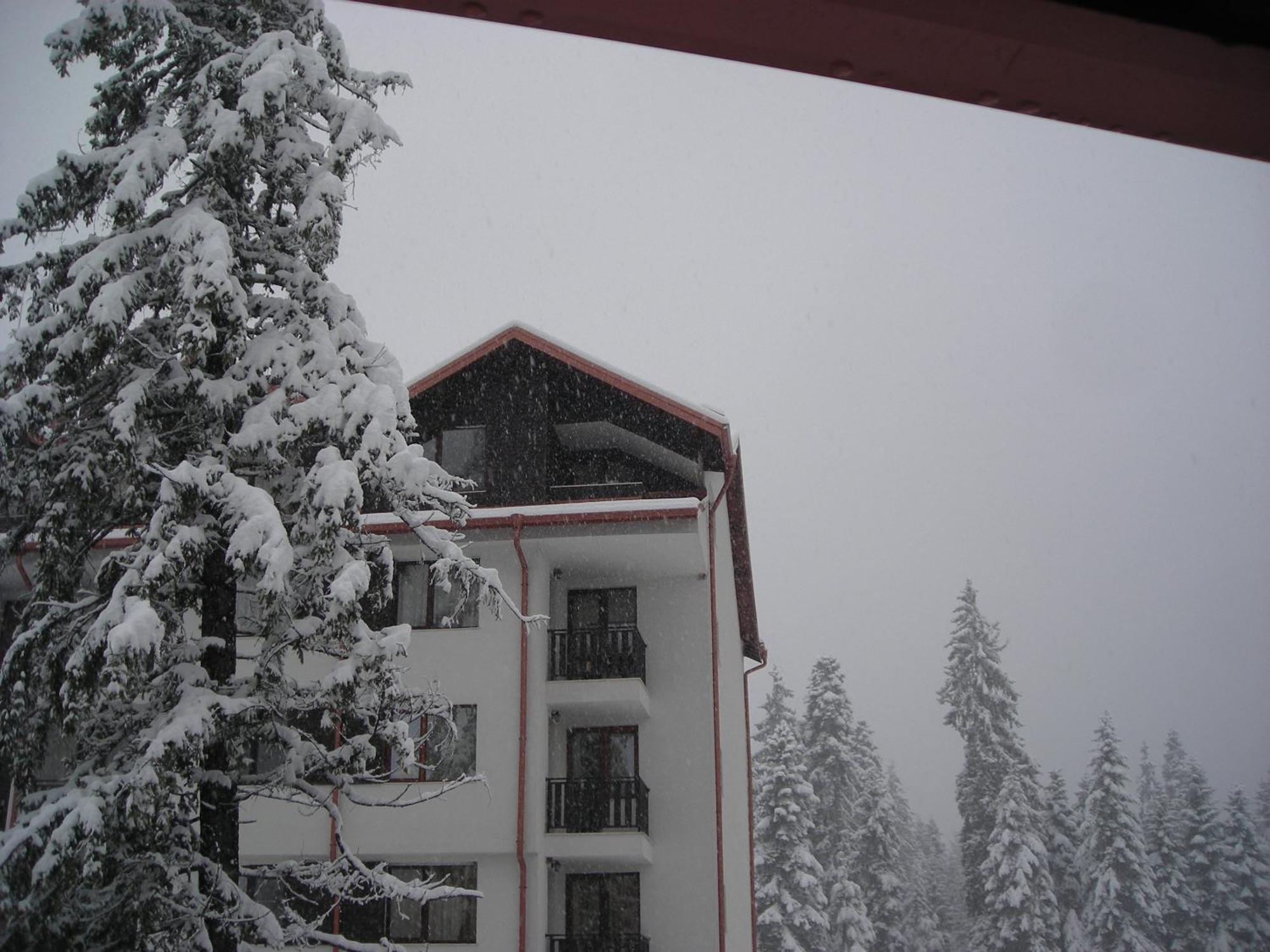 Borovets Gardens Chalet Flat Buitenkant foto